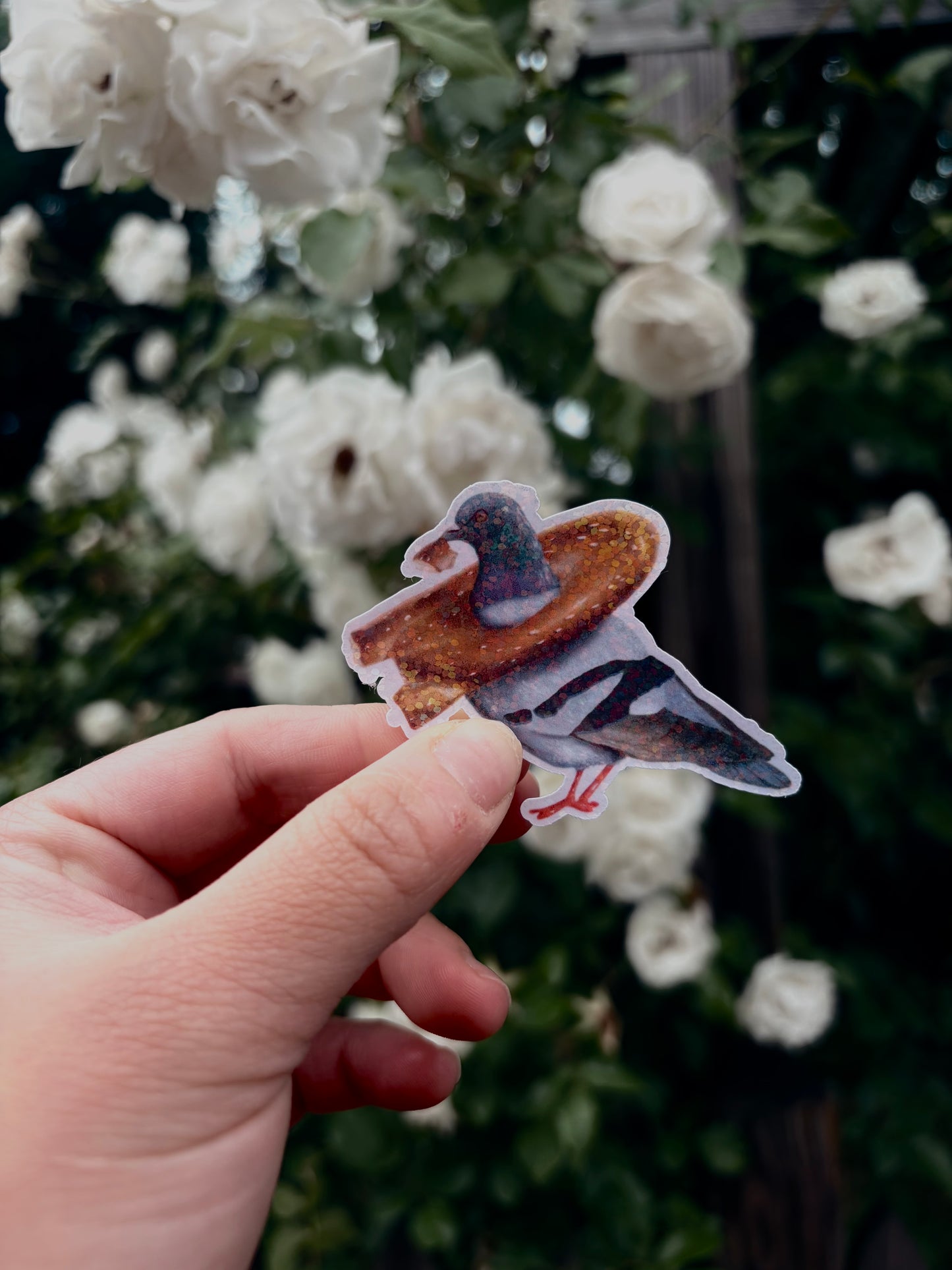 Philly Pigeon