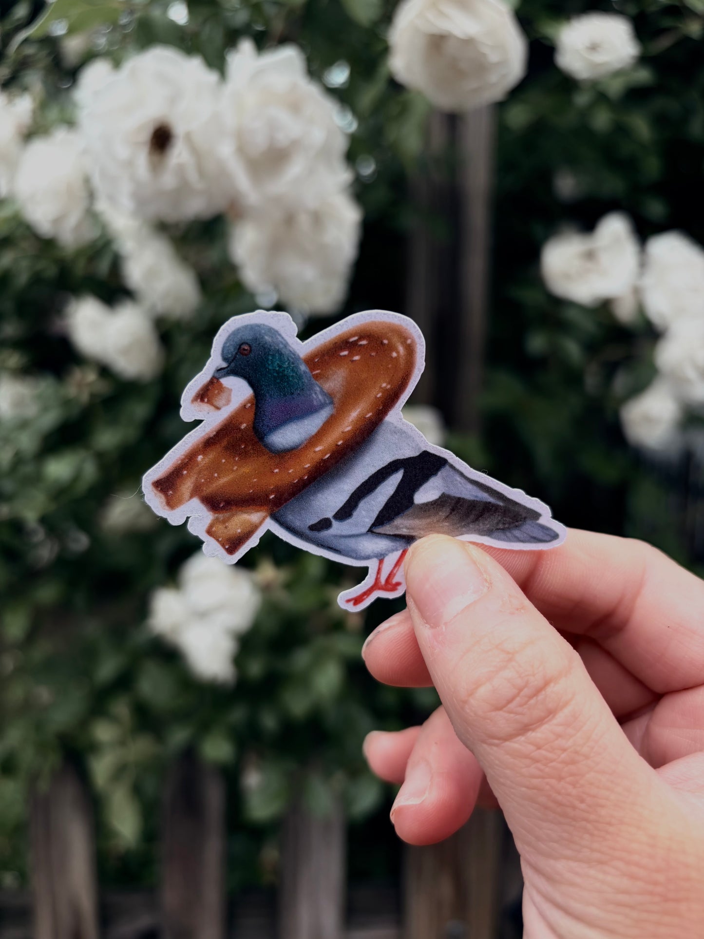 Philly Pigeon